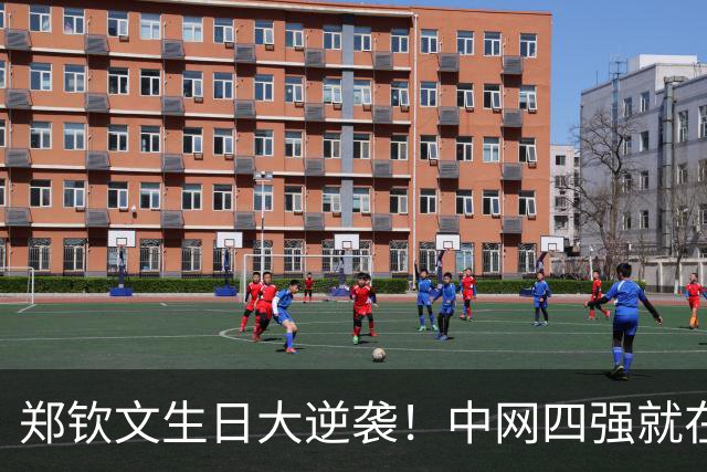 郑钦文生日大逆袭！中网四强就在眼前，奖金228万等你来拿！